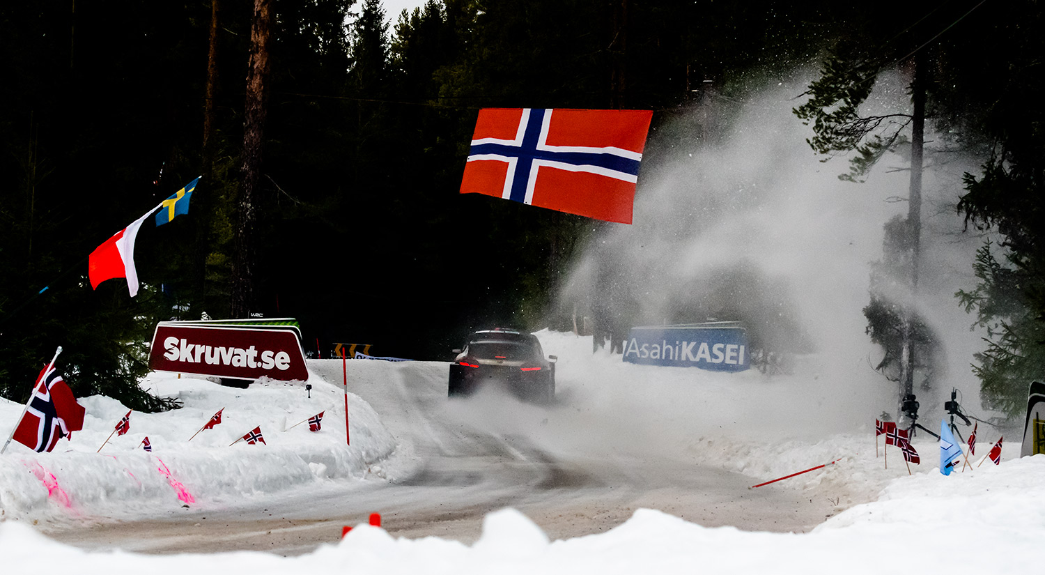 Lorenzo Bertelli & Simone Scattolin - Ford Fiesta WRC, Torsby, Sweden, 2019