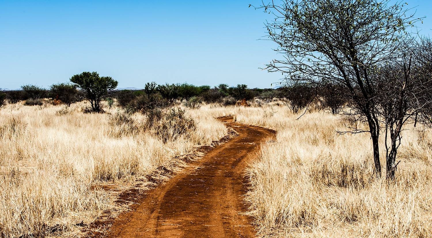 Erindi Private Game Reserve