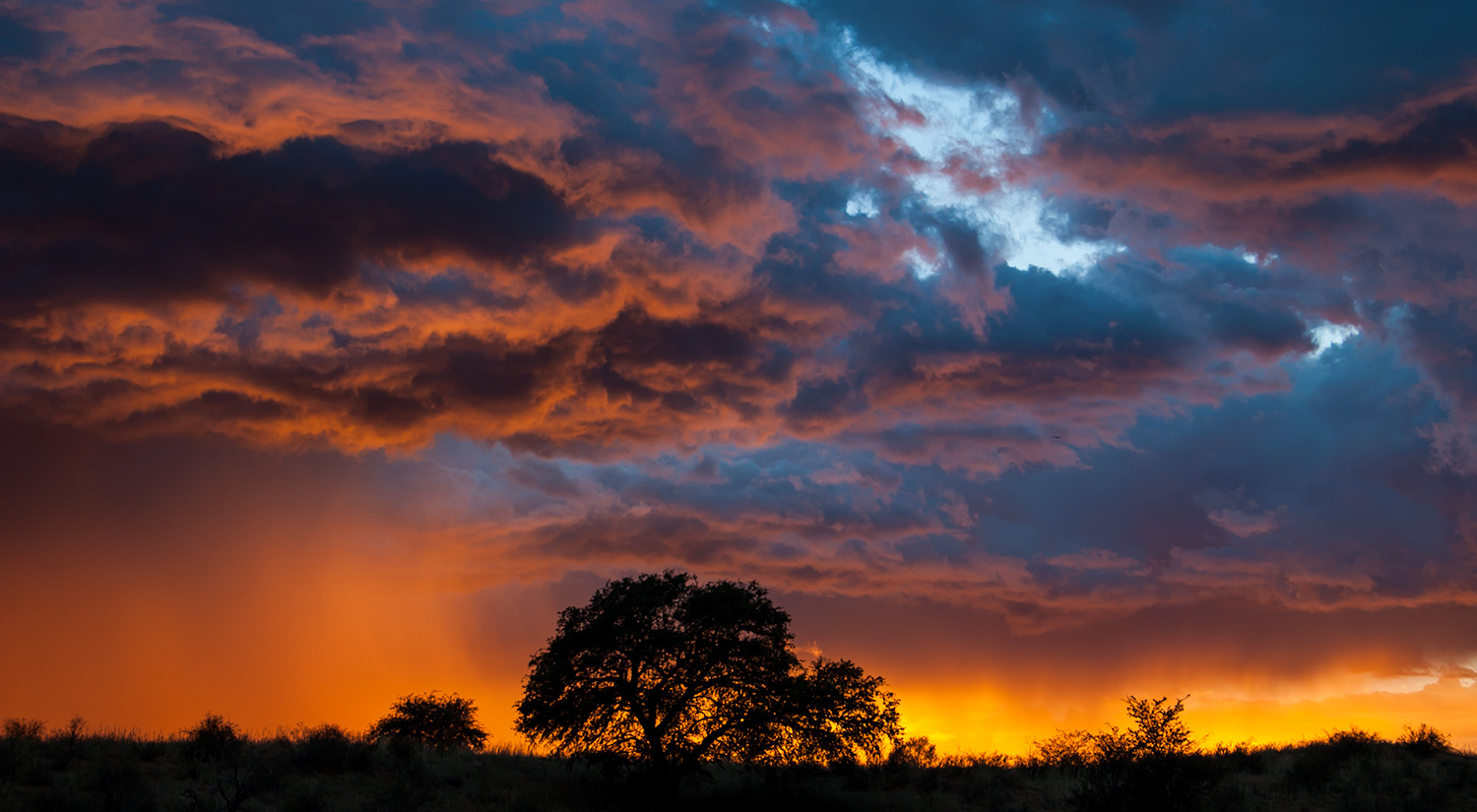 Richtersveld National Park
